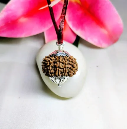 9 Mukhi Rudraksha