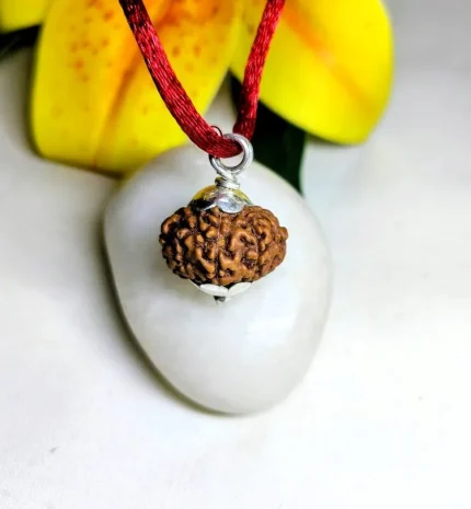 9 Mukhi Rudraksha