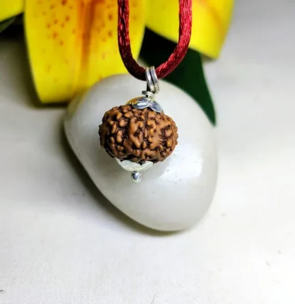 9 Mukhi Rudraksha