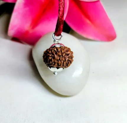 9 Mukhi Rudraksha