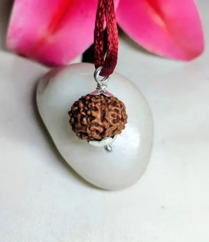 9 Mukhi Rudraksha