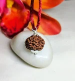 9 Mukhi Rudraksha