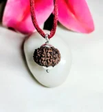 9 Mukhi Rudraksha