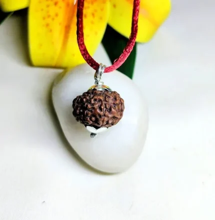 9 Mukhi Rudraksha
