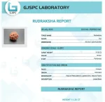 9 Mukhi lab Certificate