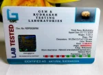 13 Mukhi Certificate