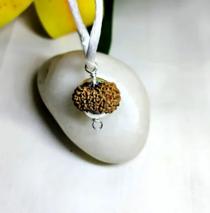 13 Mukhi Rudraksha