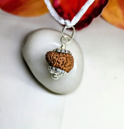 13 Mukhi Rudraksha