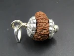 13 Mukhi Rudraksha