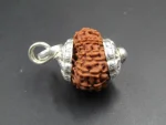 13 Mukhi Rudraksha