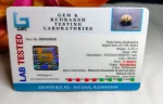 17 Mukhi Certificate