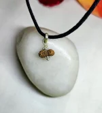 17 Mukhi Rudraksha