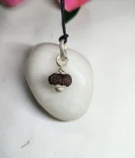 17 Mukhi Rudraksha