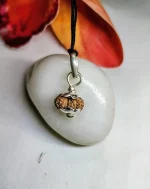 17 Mukhi Rudraksha