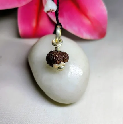17 Mukhi Rudraksha