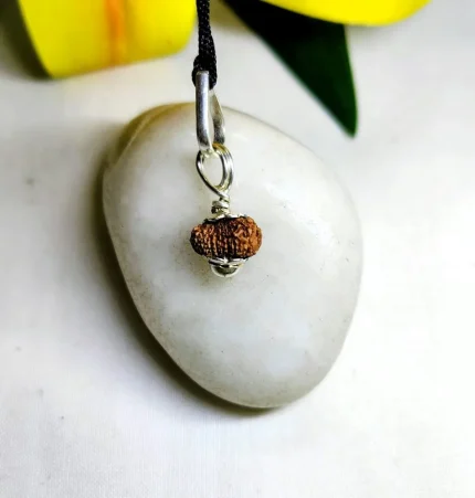 17 Mukhi Rudraksha