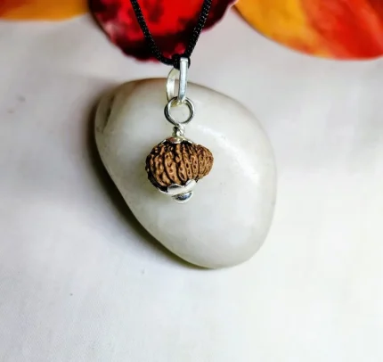 17 Mukhi Rudraksha