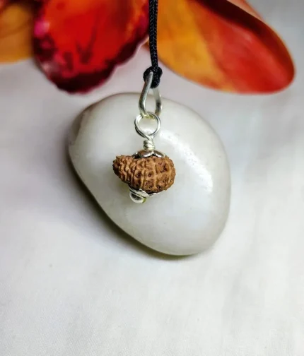 17 Mukhi Rudraksha