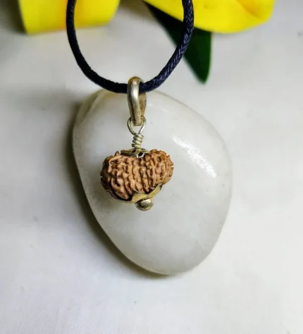 17 Mukhi Rudraksha