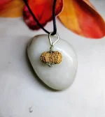 17 Mukhi Rudraksha