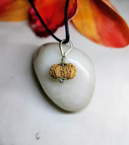 17 Mukhi Rudraksha