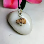 17 Mukhi Rudraksha