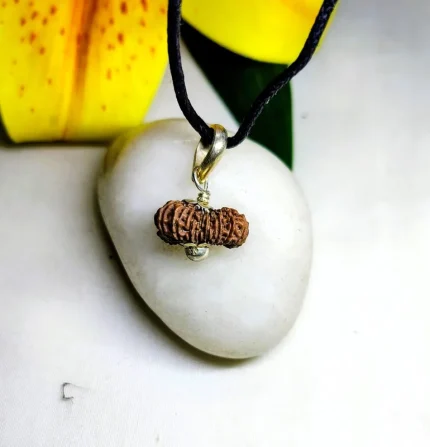 17 Mukhi Rudraksha