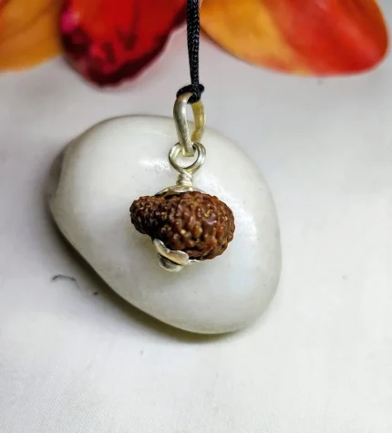 17 Mukhi Rudraksha