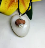 17 Mukhi Rudraksha