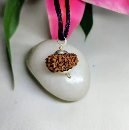 17 Mukhi Rudraksha