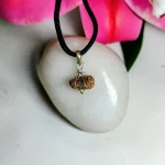 17 Mukhi Rudraksha