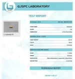 17 Mukhi lab Certificate