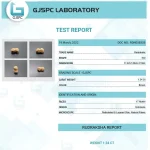 17 Mukhi Certificate