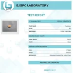 17 Mukhi Certificate