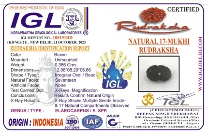 17 Mukhi Certificate