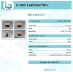 17 Mukhi Certificate