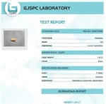 17 Mukhi Certificate