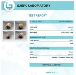 17 Mukhi Certificate