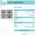 17 Mukhi Certificate