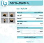 17 Mukhi Certificate