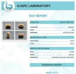 17 Mukhi Certificate