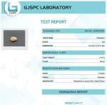 17 Mukhi Certificate