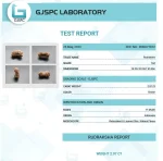 17 Mukhi Certificate