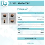 17 Mukhi Certificate