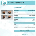 17 Mukhi Certificate