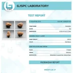 17 Mukhi Certificate