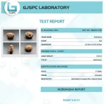 17 Mukhi Certificate