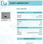 17 Mukhi Certificate