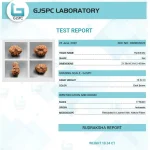 17 Mukhi Certificate