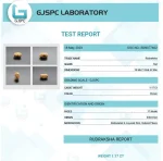 17 Mukhi lab Certificate
